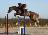 120107..Rhea.env.jpg