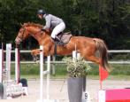 IMG_0094.Vifdor.env_1.jpg