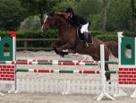 151425.IMG_0065.Twiny.env.jpg