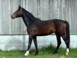 230326.IMG_6970_-_Copie.Instable.env.jpg