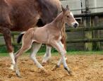 210835.IMG_3666_-_Lucy.14-05-21..env.jpg