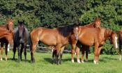 231006.IMG_7898_-_Copie.Lucy_Last_2a.env.jpg