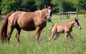 210902.IMG_3740_-_Last.01-06-21.env..jpg