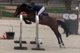 2019-03-21. FILAE MAOUCHA, 4 ans, Deauville SHF