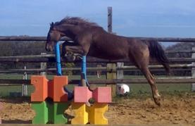 EROS, 2 ans,  saut en liberté