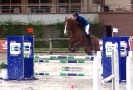 2016 04 29 Birdy Maoucha  CSO Deauville