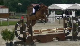 2016-06-14 Cameo 4 ans qualif Le Pin