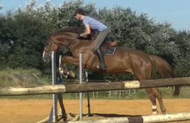 2016-09-07 BORNTOBEWILD entraînement CSO