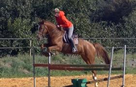 2016-09-30 Cameo (4 ans) entraînement à la maison