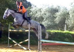 2016-10-04 Belzebuth entraînement à la maison