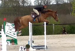 Cameo Maoucha, 2017 04 17, Le Pin au Haras