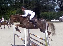 Concours de juin