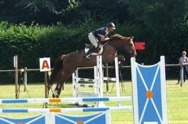 2018-07-17. EROS MAOUCHA, Bayeux, CSO SHF 4 ans Q,  SF