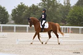DAFFODIL, CCE Le Pin, 2022-09-04