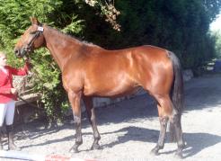 2019-07-02. FATSHEDERA MAOUCHA, CIR Auvers