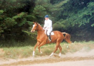 VVINDSTAR MAOUCHA