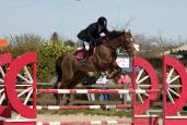 130412.IMG_0530.Raffafa.jpg