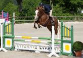 111444.Tawny.4ans.env.jpg
