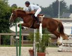 112333.Tawny.4ans.env.jpg