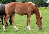 220829.IMG_5525_-_Copie.LastDance_12_mois.env.jpg