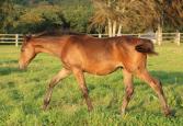 231205.IMG_7984_-_Copie.Night_4m_etdemi.env.jpg